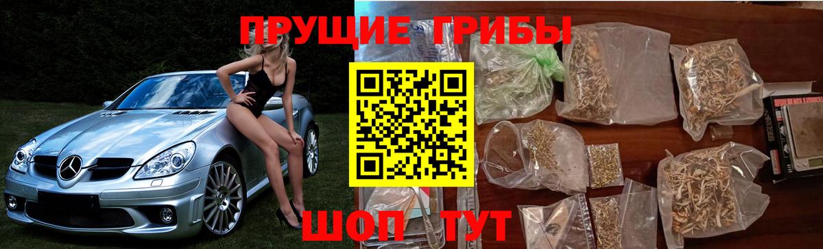 Псилоцибиновые грибы мухоморы  Вход с VPN  Богородицк 